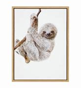 Image result for Baby Sloth