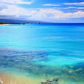 Depict a beautiful seascape of the clear turquoise waters of Maui, filled with diverse tropical fish and coral.”. Image 3 of 4