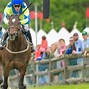 Image result for Steeplechase