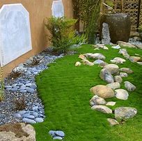 Image result for Rock Moss Lawn