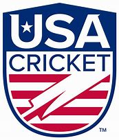 Image result for Cricket Logo.png