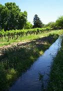 Image result for acequia