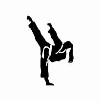 Image result for Taekwondo Silhouette