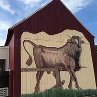 Image result for Bull On the Barn Newport NJ