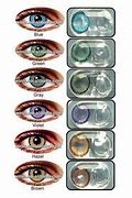Image result for Prescription Colored Contact Lens