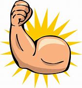 Image result for Funny Muscles