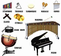 Image result for Percussion Musical Instruments