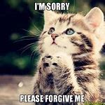 Image result for Sorry Meme Baby