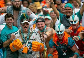Image result for Miami Dolphins Fans