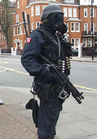 Image result for 22 SAS Uniform