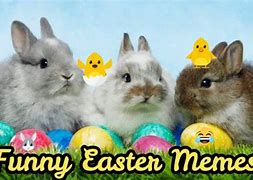 Image result for Cute Happy Easter Meme