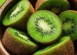 Image result for Green Things in Nature
