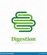 Image result for digesti�n