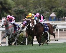 Image result for Rising From the Ashes Race Horse Hong Kong