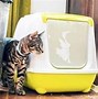 Image result for Hidden Cat Litter Box