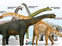 Image result for Largest Dinosaur Titanosaurus