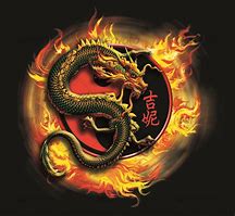 Image result for Martial Arts Dragon