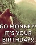 Image result for Monkey Birthday Meme
