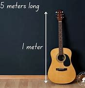 Image result for 5 Meters Long