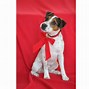 Image result for Red Fabric Backdrop