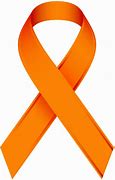 Image result for Orange Cancer Ribbon Pin