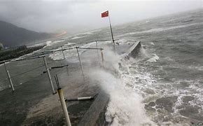 Image result for Hong Kong Taifun