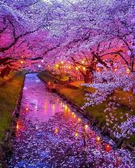 Image result for Osaka Japan Places to Visit