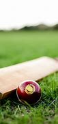 Image result for Cricket Bat Ball