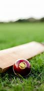 Image result for Bat and Ball Images