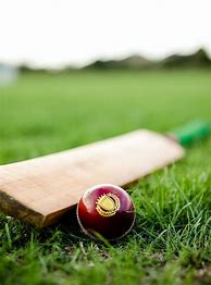 Image result for Free Cricket Ball and Bat Images