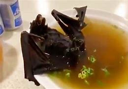 Image result for Bat Soup Coronavirus