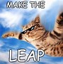 Image result for Cat Meme You Can Fly