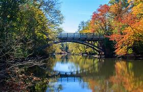 Image result for Old Parks in New Haven CT