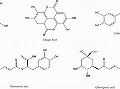 Image result for Phenolic Lab Table