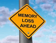 Image result for Forgetful Memory