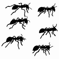 Image result for Ant Art