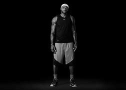 Image result for Nike LeBron 11s