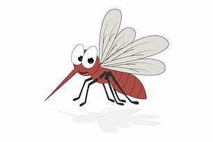Image result for Female Mosquito Cartoon
