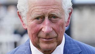 Image result for King Charles III Morning Suit