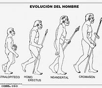 Image result for EVOLUCION De Los Humanos