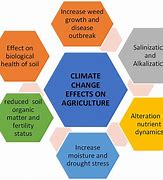 Image result for The Future Environmental Impact