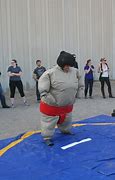 Image result for Sumo Champion