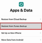 Image result for iTunes Reset iPhone