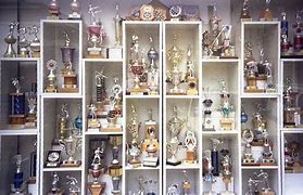 Image result for Trophy Aesthetic