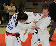 Image result for Traditional Japanese Martial Arts
