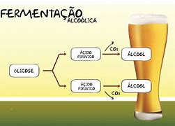 Image result for fermentativo