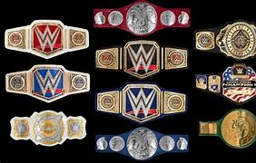 Image result for All WWE Championship Belts
