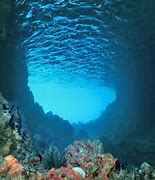 Image result for 2560X1440 Underwater Wallpaper