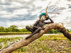 Image result for Japanese Photographer in Africa