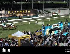 Image result for Horse Racing Cheering